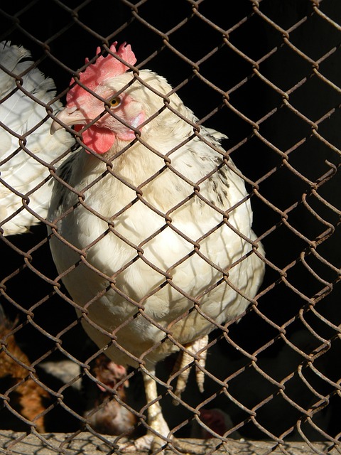 以应对能源 以应对能源