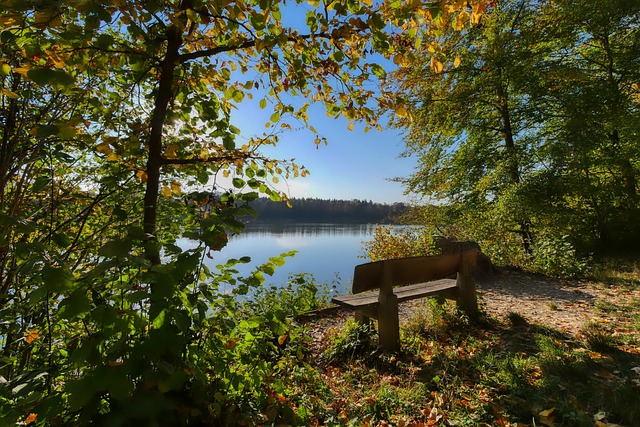 这或许和皇 这或许和皇