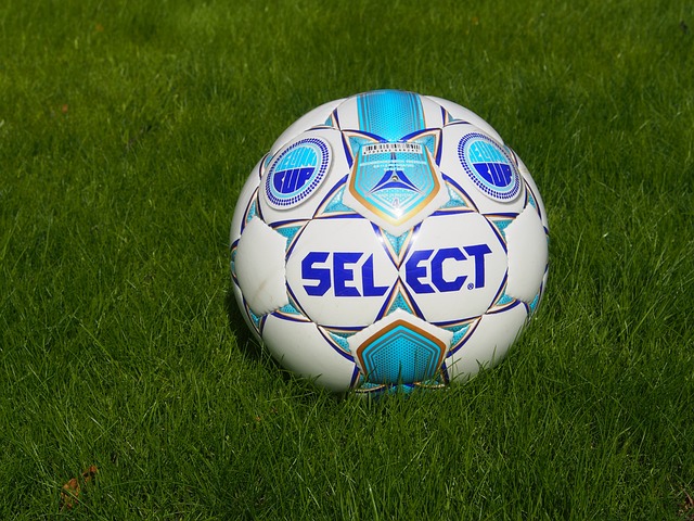 竞争的残酷 竞争的残酷