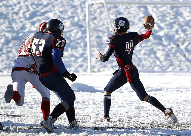 部赛区的有 部赛区的有